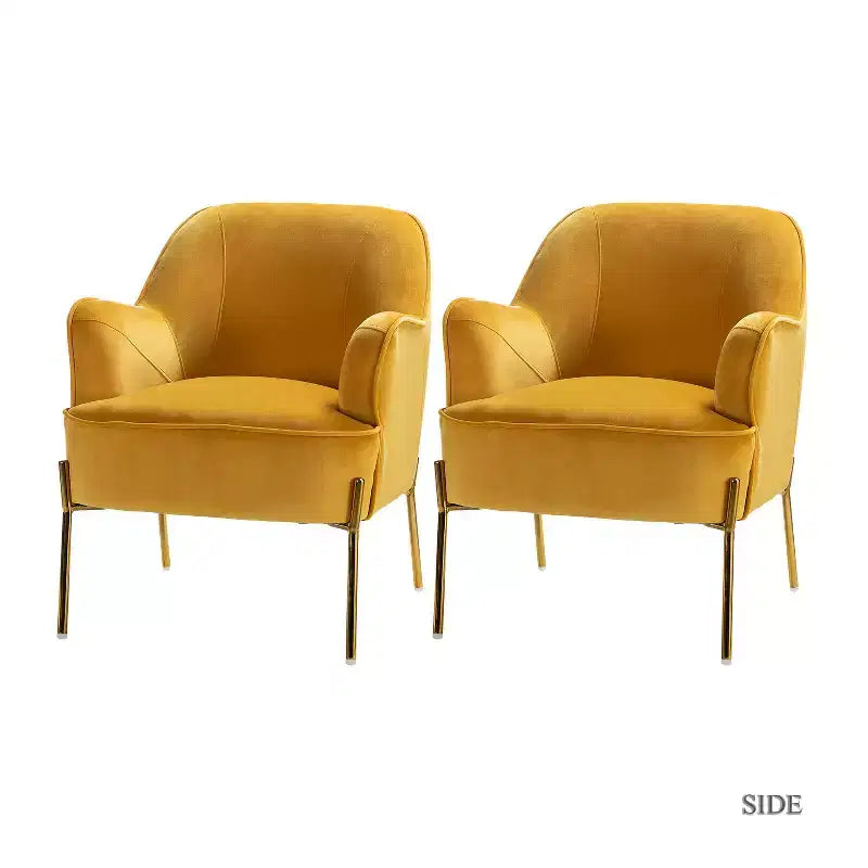 Odo comfortabele accentfauteuil van fluweel voor de woonkamer, met gestoffeerde, gevoerde zitting, set van 2 | Karat Home