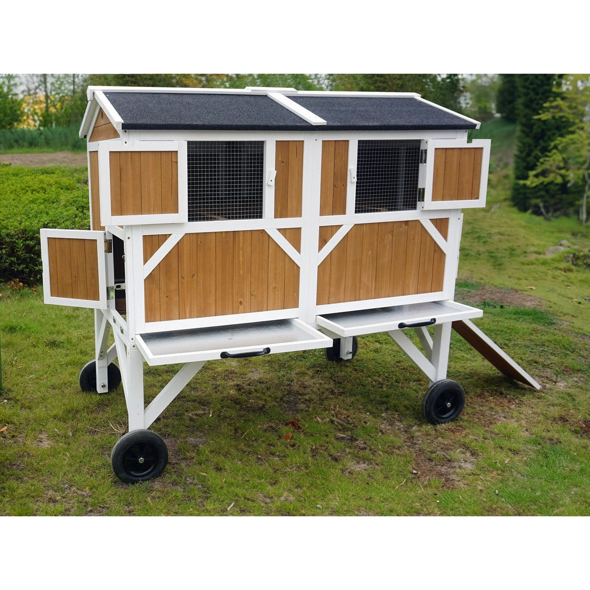 Poulailler pour poules élevées en liberté